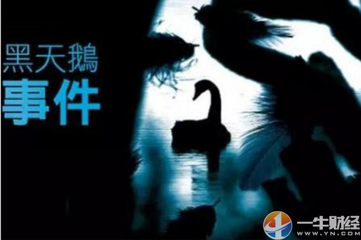 今年全球股市最大一只黑天鹅,华尔街著名黑天鹅事件