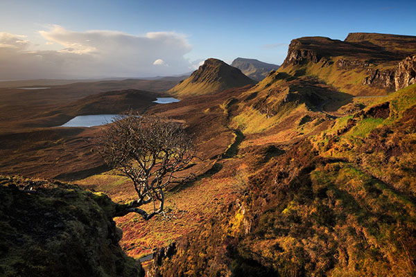 “斯凯岛”行动：巨大*局骗**中的枝节末梢，但效果好得出奇