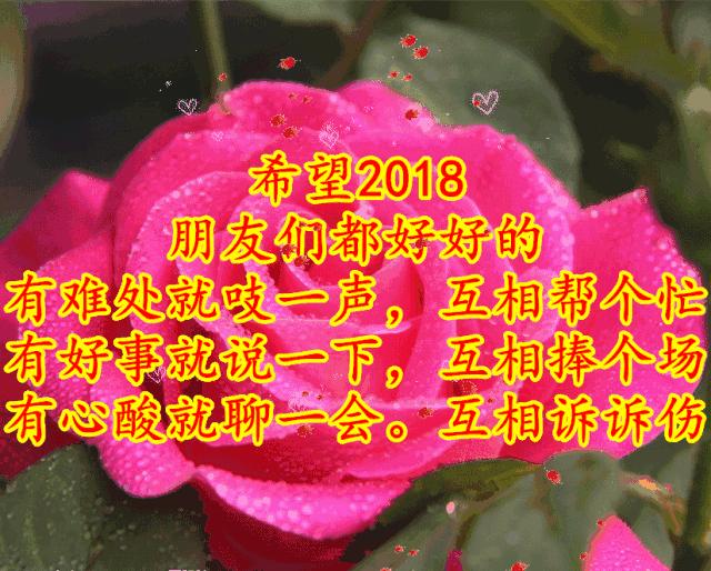 11月4,有群的都看看,太美了,这一辈子见一次值了!