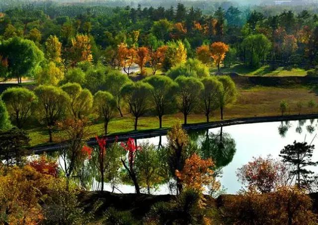 北京各区16处免费森林公园,森林公园北京有几个