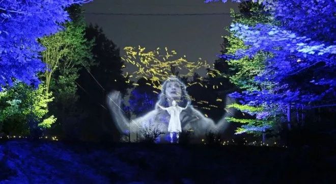 加拿大奇幻森林,加拿大魔法森林风景