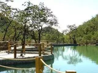 北京这38个森林公园您都去吗？先收藏了，有空咱们玩个遍！