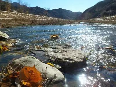 北京各区16处免费森林公园,森林公园北京有几个