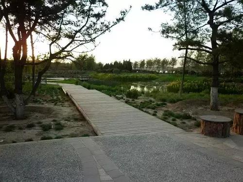 北京各区16处免费森林公园,森林公园北京有几个