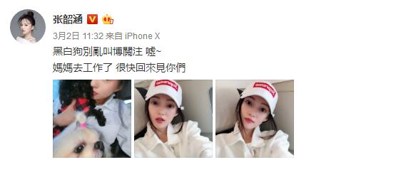 范玮琪再发声力挺陈建州台湾评价,范玮琪陈建州周杰伦张韶涵