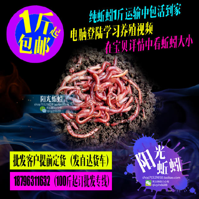想钓获大黑鱼,赶快get这几个技巧!
