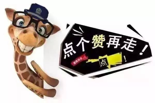 边检重点关注名单,边检通关指南