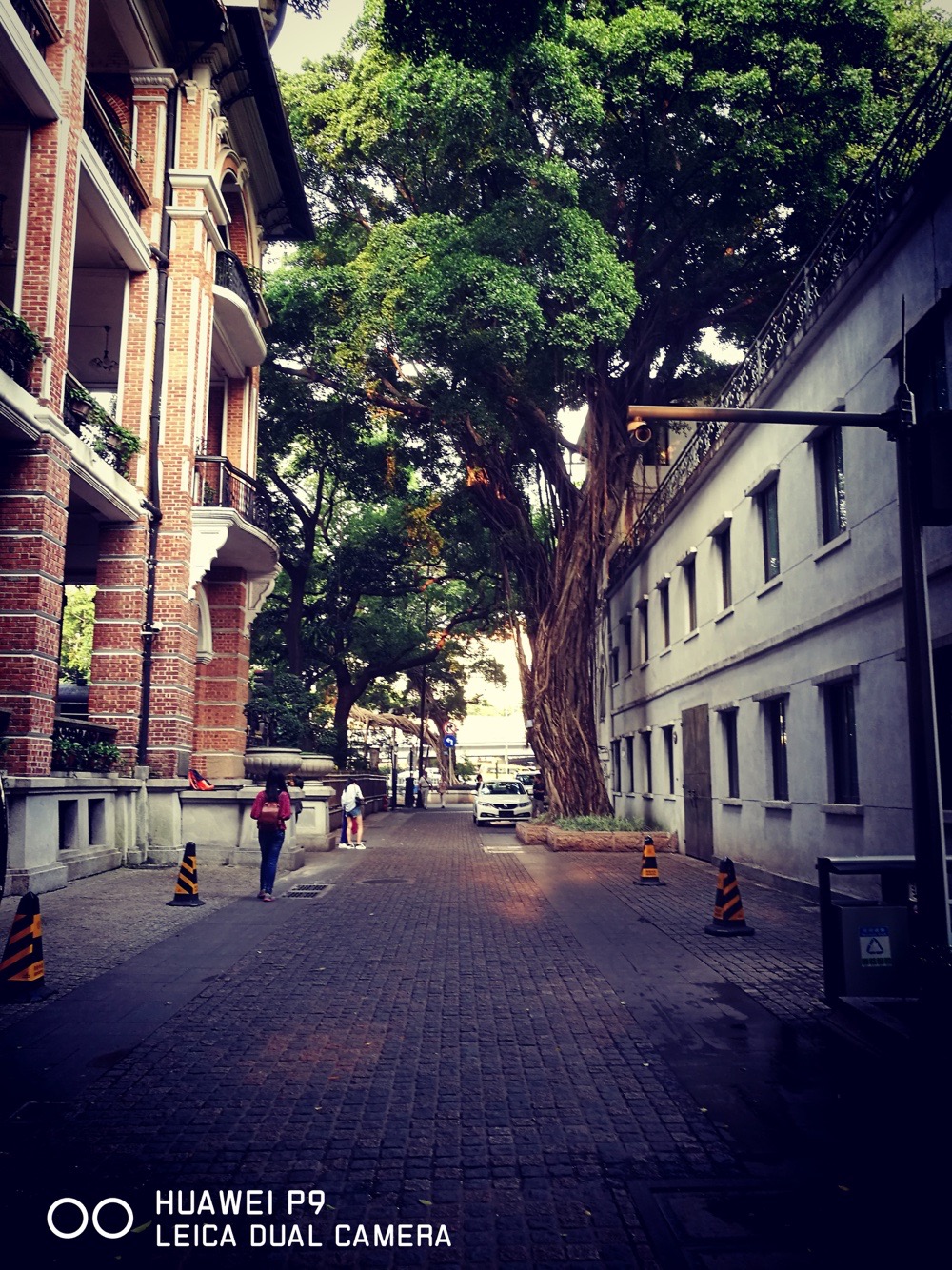 华为p9德味,毒德味儿