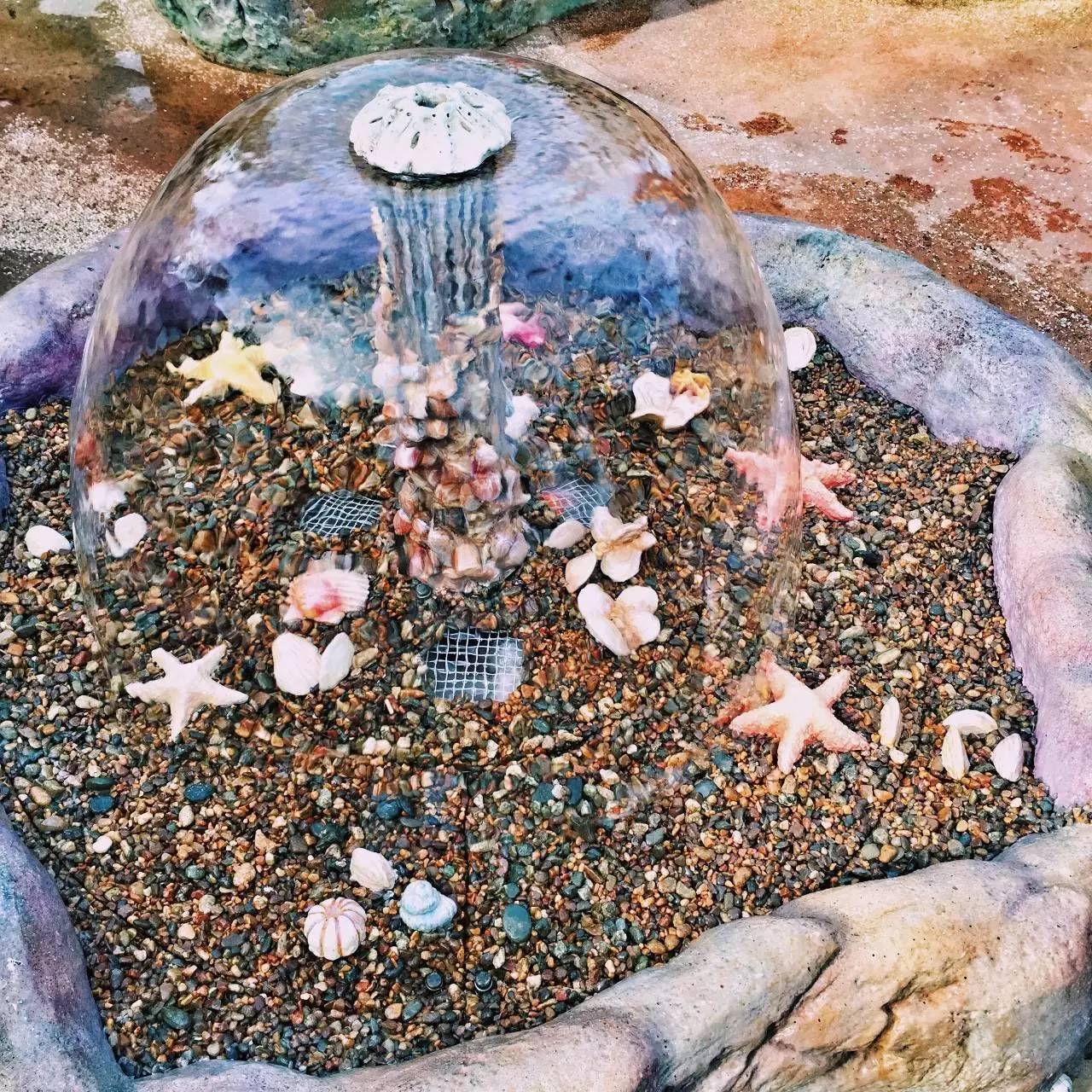 Low逼狗带|仙女仙眼里的上海迪士尼~