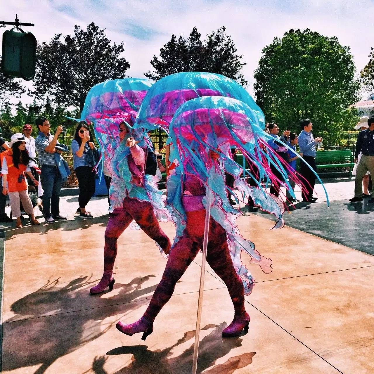 Low逼狗带|仙女仙眼里的上海迪士尼~