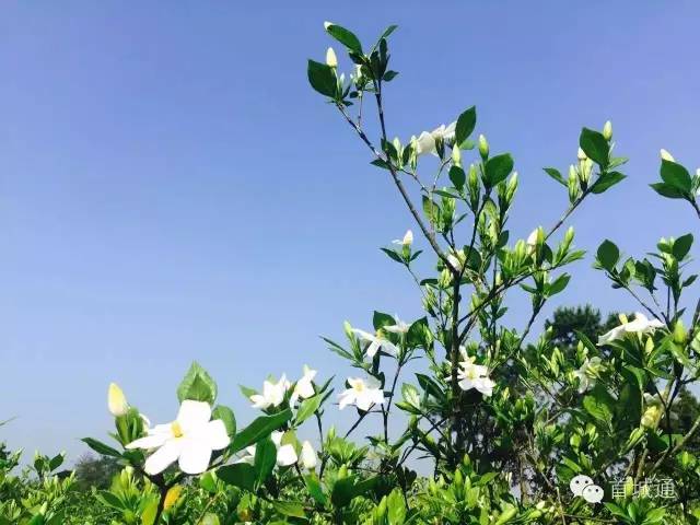 相约南溪古城夜景,相约南溪