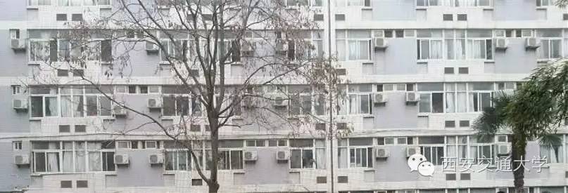 交大，我咋不喜欢你了！