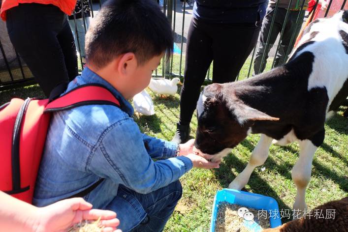 补钙长个子牛奶,长个补钙吃什么钙片最好