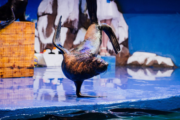 重庆周边亲子游避暑玩水 (五一重庆周边适合小孩游玩的景点)