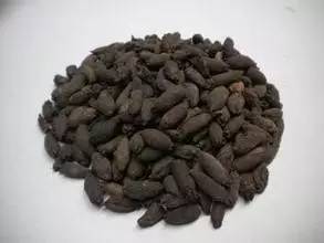 普及中药知识点,丁香中药记忆口诀