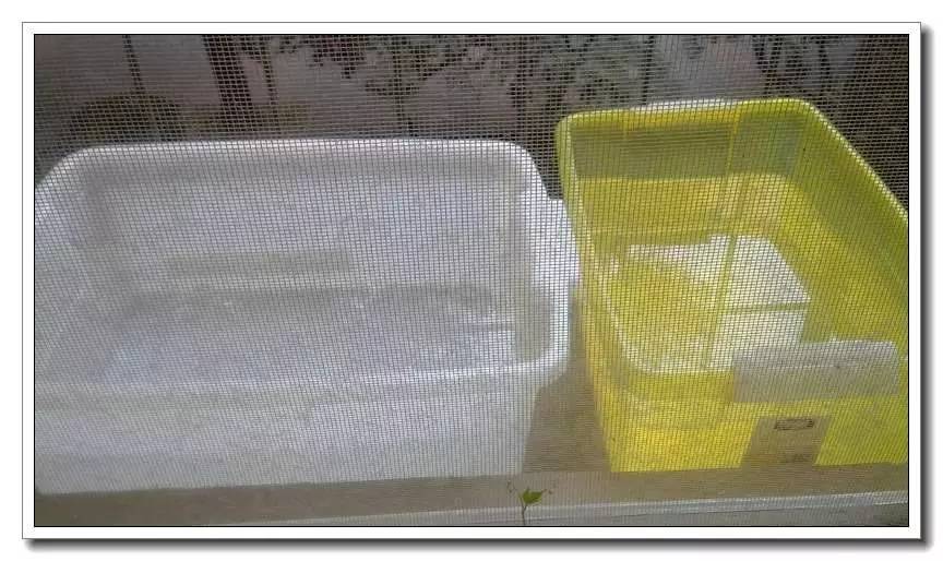 自来水快速去除氯,怎样才能清除自来水里的氯