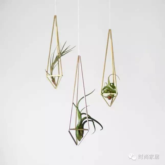 如何打造小型珍稀植物园,如何打造一个美丽的植物园