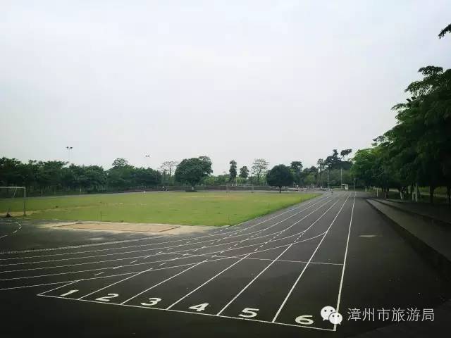 杭州西溪生态公园,西溪郊野公园好玩吗