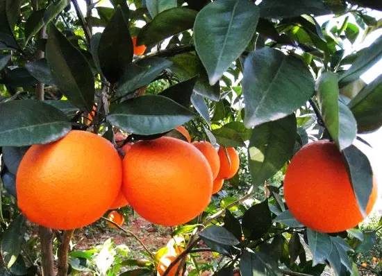 赣州老城人眼中的18县VS18县人眼中的自己，最后一个亮瞎了！