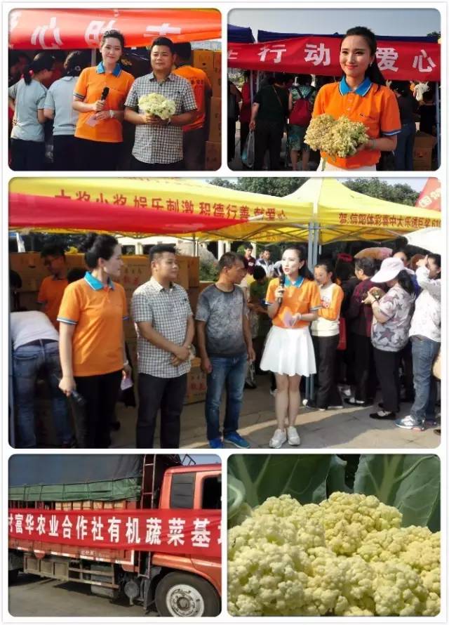 直播信阳大事件:40分钟销售两万斤!帮女郎~棒棒哒!