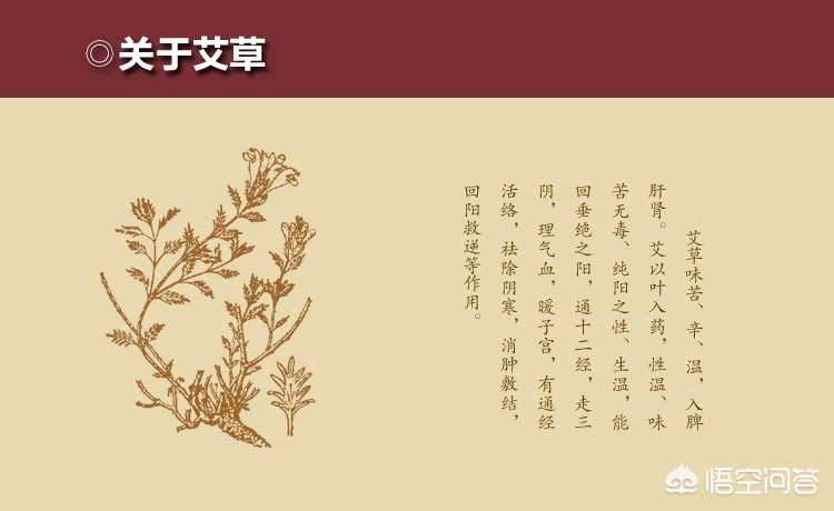 泡艾草泡到脚痒怎么缓解,脚痒泡艾草有效果吗