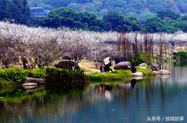 萝岗为何没被评为广州中心城区,广州萝岗曾经是一个区吗