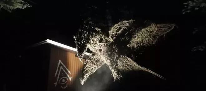 加拿大奇幻森林,加拿大魔法森林风景