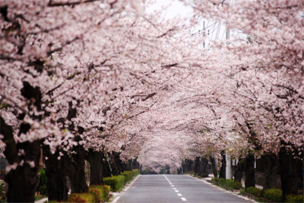 天津一日游必去的5个景点,天津2024年学生春游地点