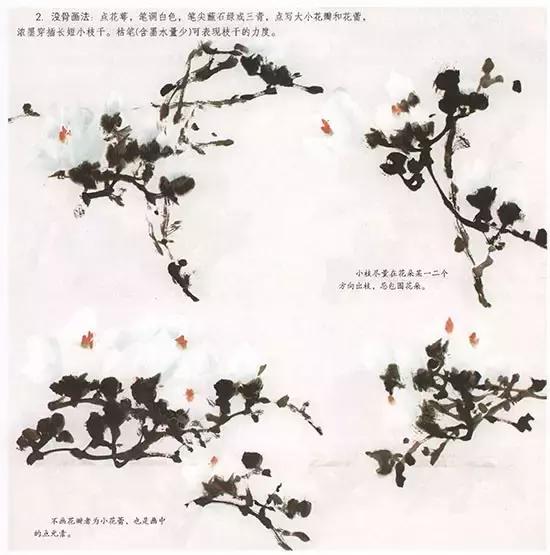 国画小写意玉兰花作品,国画玉兰花谁画的最好