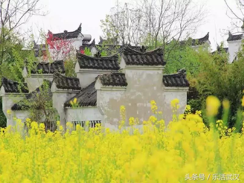 武汉春游两日游攻略大全,武汉春游适合去哪里玩