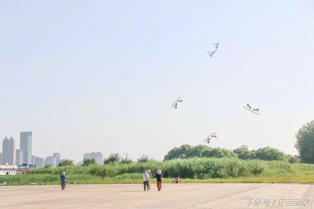 武汉春游两日游攻略大全,武汉春游适合去哪里玩