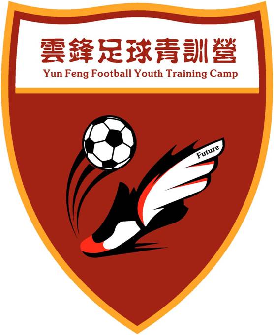 提高国足实力从娃娃抓起自贡也有了青少年足球训练营