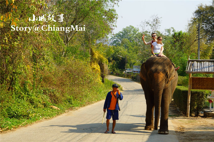 为了忘却的记忆全文,为了忘却的记忆1