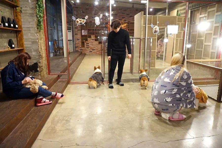 就连文艺女青年也找不到的史诗级咖啡店，因为它们真的藏在角落里