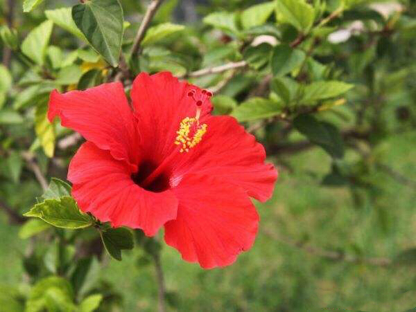 经量少多怎么办,经量太少该吃什么调理