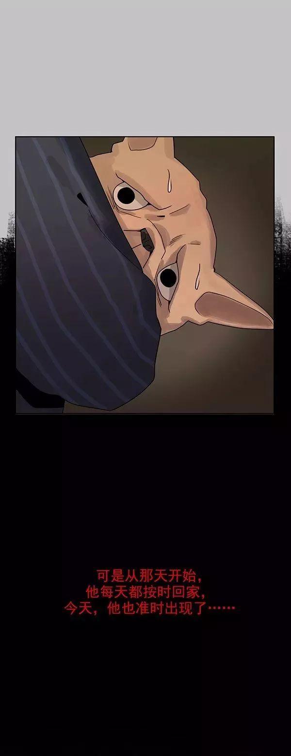 猫和铲屎官的日常生活漫画,铲屎官的搞笑漫画