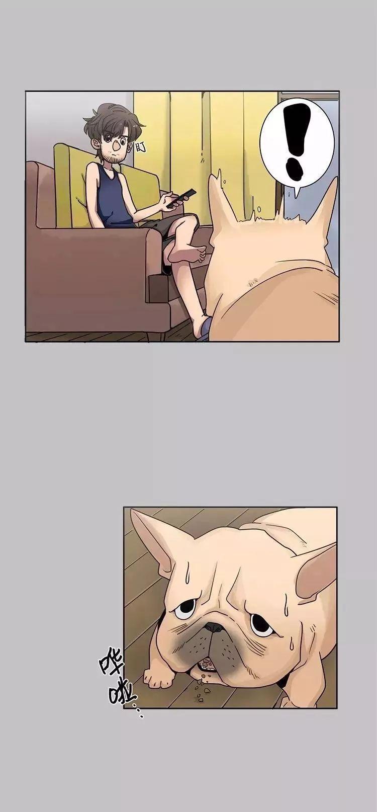 猫和铲屎官的日常生活漫画,铲屎官的搞笑漫画