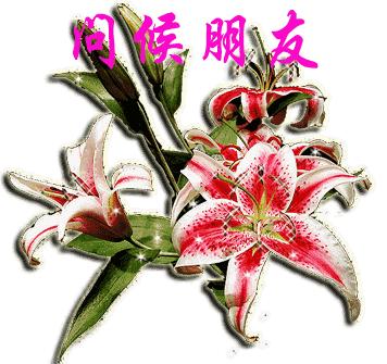 三八女人节送你一束有钱花,三八女神节送你有钱花