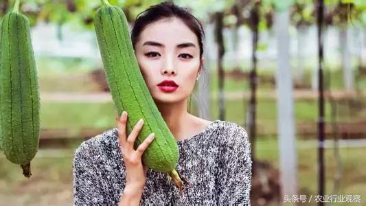 干货农产品直播带货排名前十名,直播农产品选品的方法和技巧