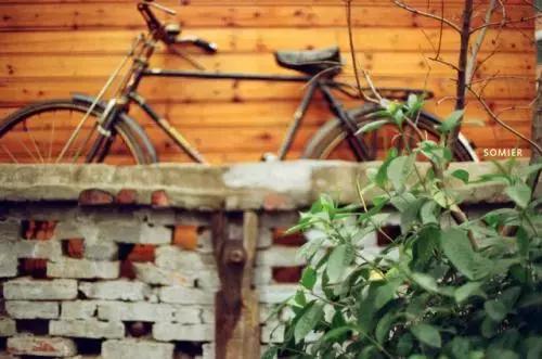 文艺创业项目,成都年轻人创业项目排行榜