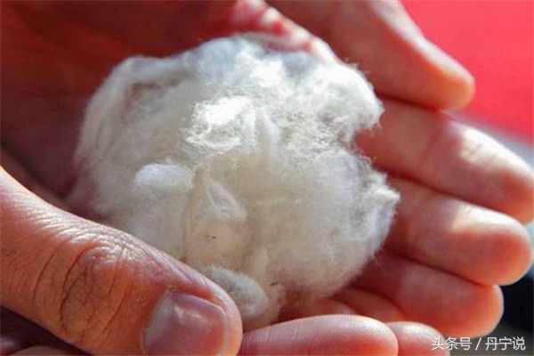 轰动全球的日本大阪五虎之一FULLCOUNT原色牛仔裤品牌