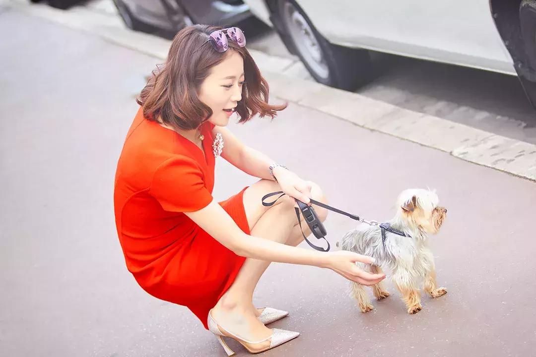 艾诚谈人生,艾诚专访的经济专家