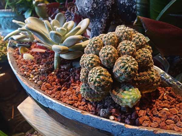 国美u9和国美u7的区别,国美u7值得买吗