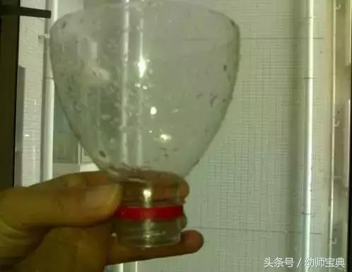 多种玩法的科学区自制玩教具,科学区域玩教具