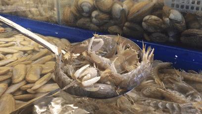 天津高档海鲜自助波龙帝王蟹,海鲜自助天津帝王蟹