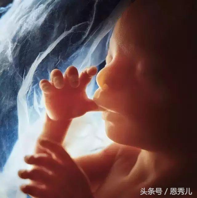 摄影大师花费10年,用镜头记录精子与卵子结合并发育成长的过程!