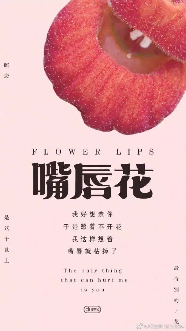 鏉滆暰鏂コ绁炶妭瑙嗛,涓冨鎯呬汉鑺傛潨钑炬柉