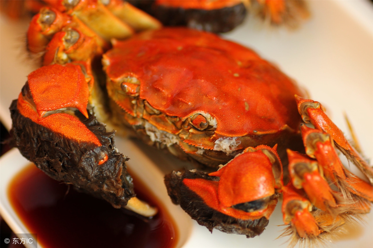 孕妇能吃的海产品有哪些,孕妇能不能吃海鲜干货呢