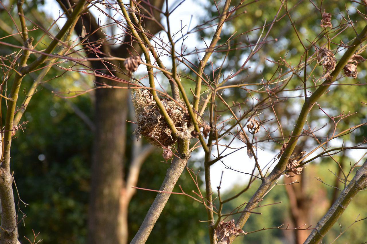 相机入门推荐尼康d7500,尼康d5600单反相机入门教程