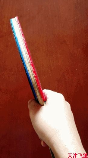 乒乓球系统训练计划明细表,乒乓球基础教练教学书籍